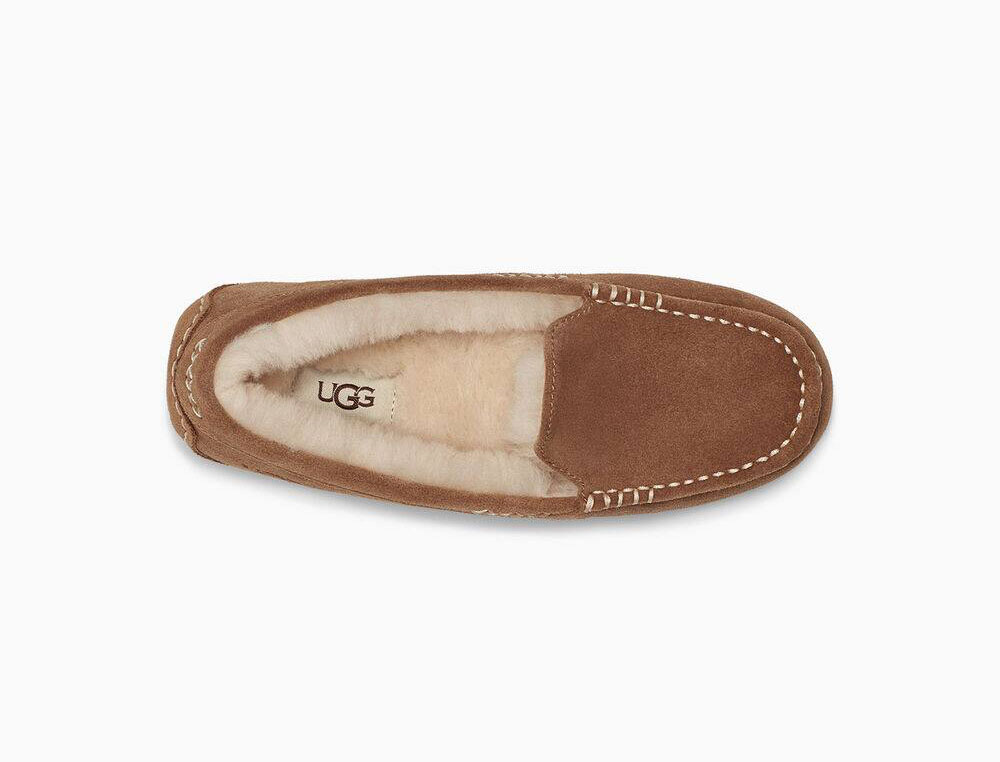 ugg ansley chocolate