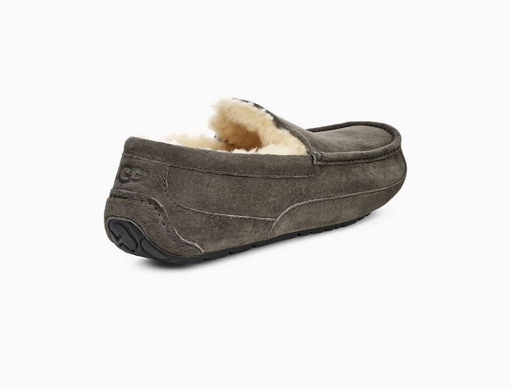 ugg ascot charcoal