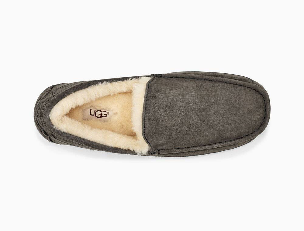 ugg ascot charcoal
